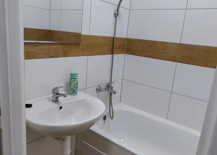 Apartment Pro 4 Osoby, Habartov